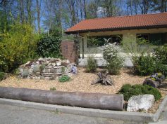 fruehling-004